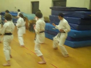 Shotokan Karate Online Sensei Randolph Williams