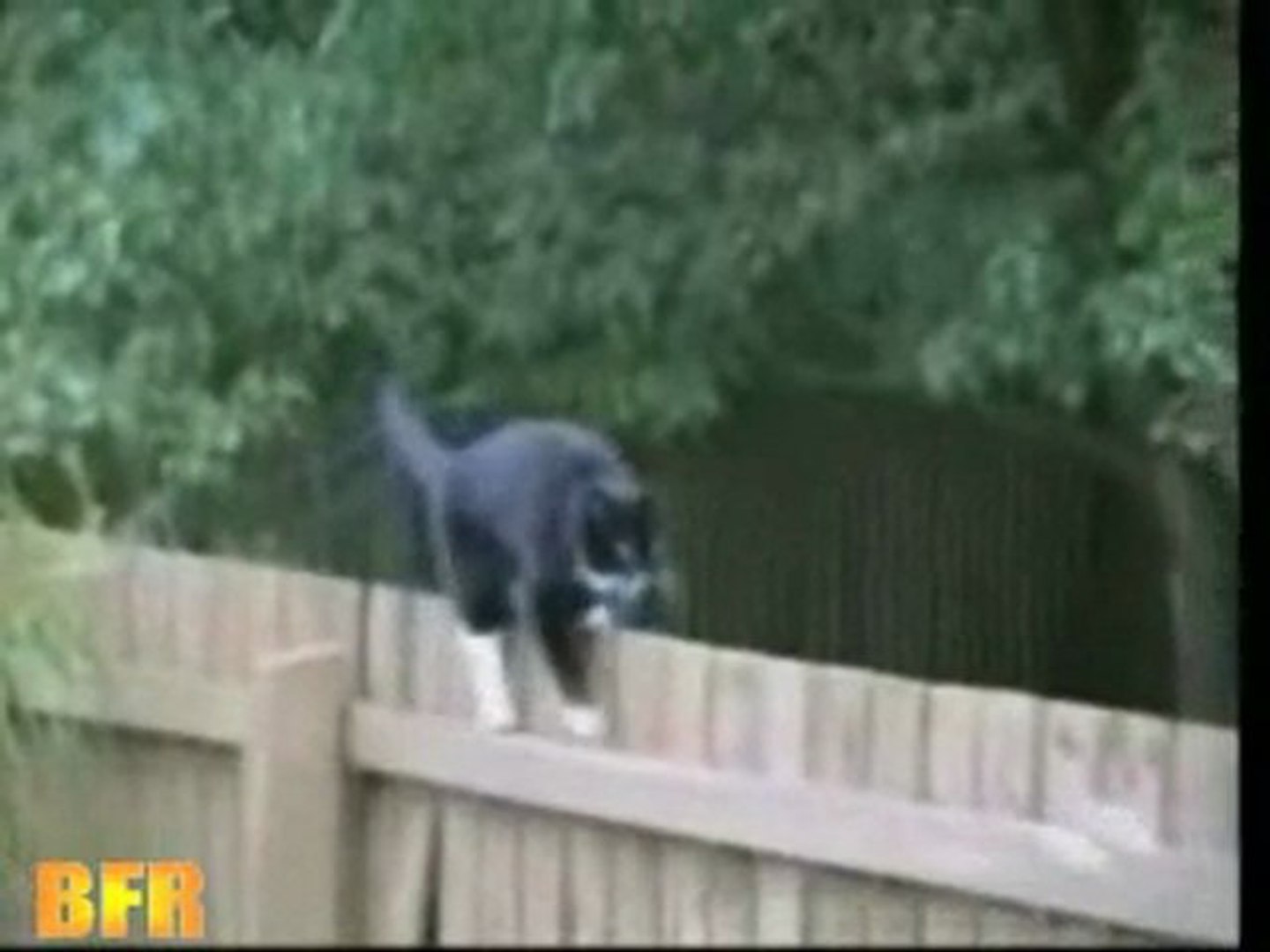 ⁣best of internet 11