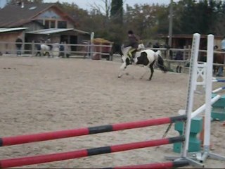 Laïa, Danaé et Gaia: CSO 31-10-10