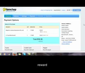 Domain and Web hosting set up