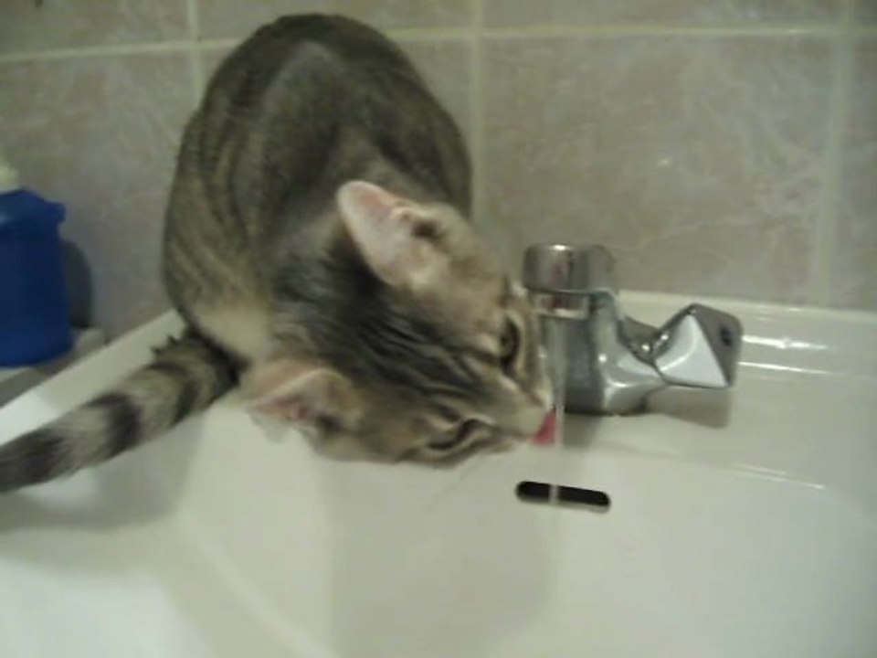 L'eau