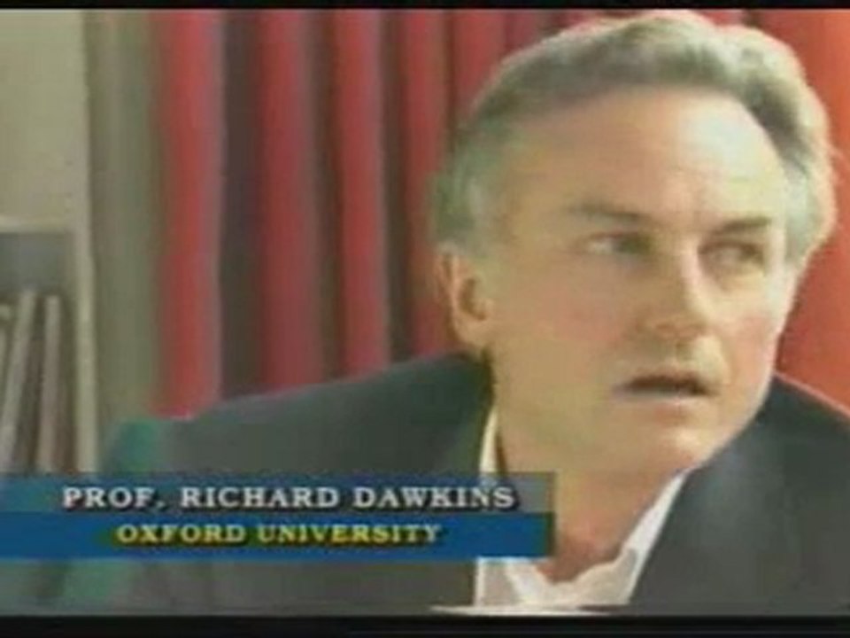 Richard Dawkins tek bir faydalı mutasyon örneği veremiyor!