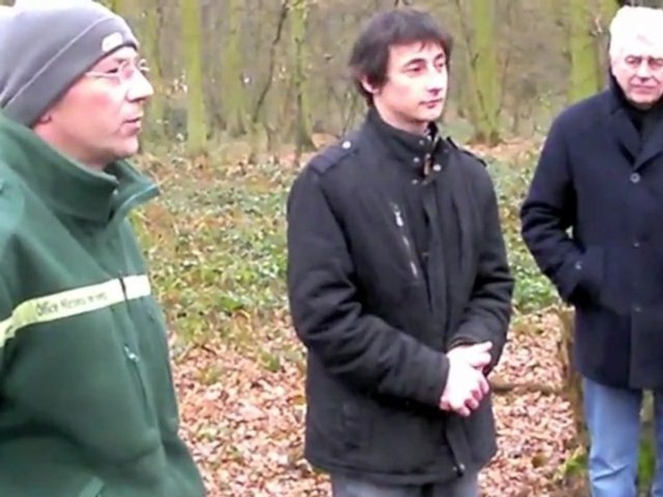 Beuvry-la-Foret : re-découverte de la forêt