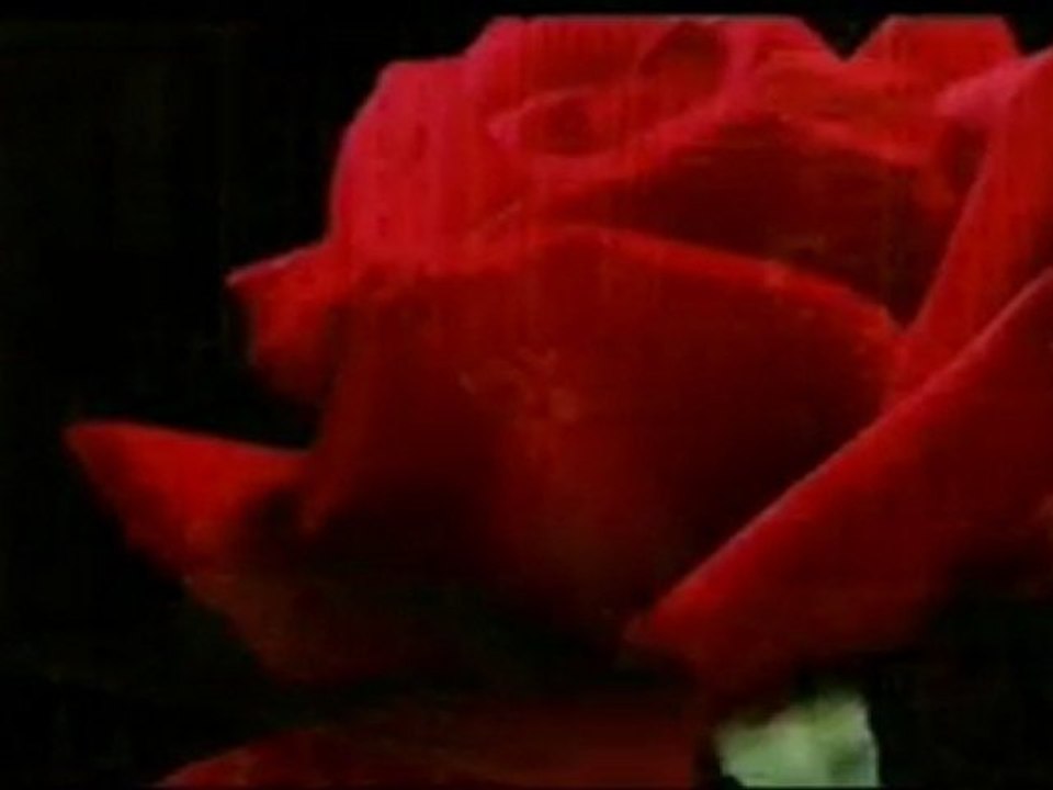 Gel Ey Muhammed, bahardır...