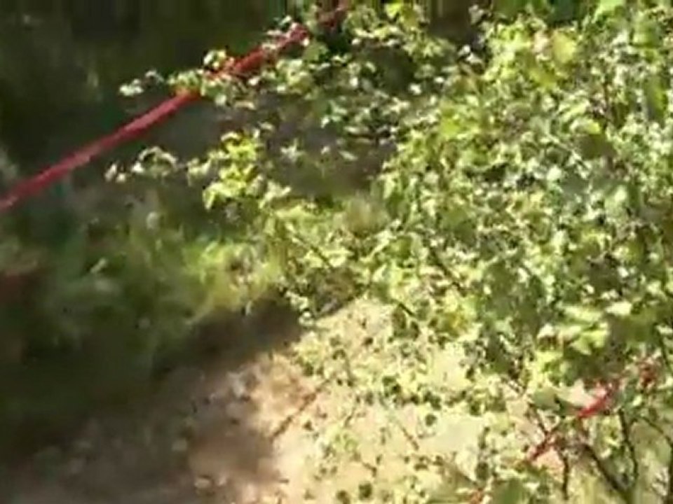 Action from The UCI Mountain Bike World Cup Downhill Forte William, Scotland 2008