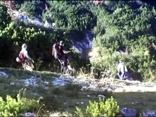 Afternoon in the Bavarian Alps