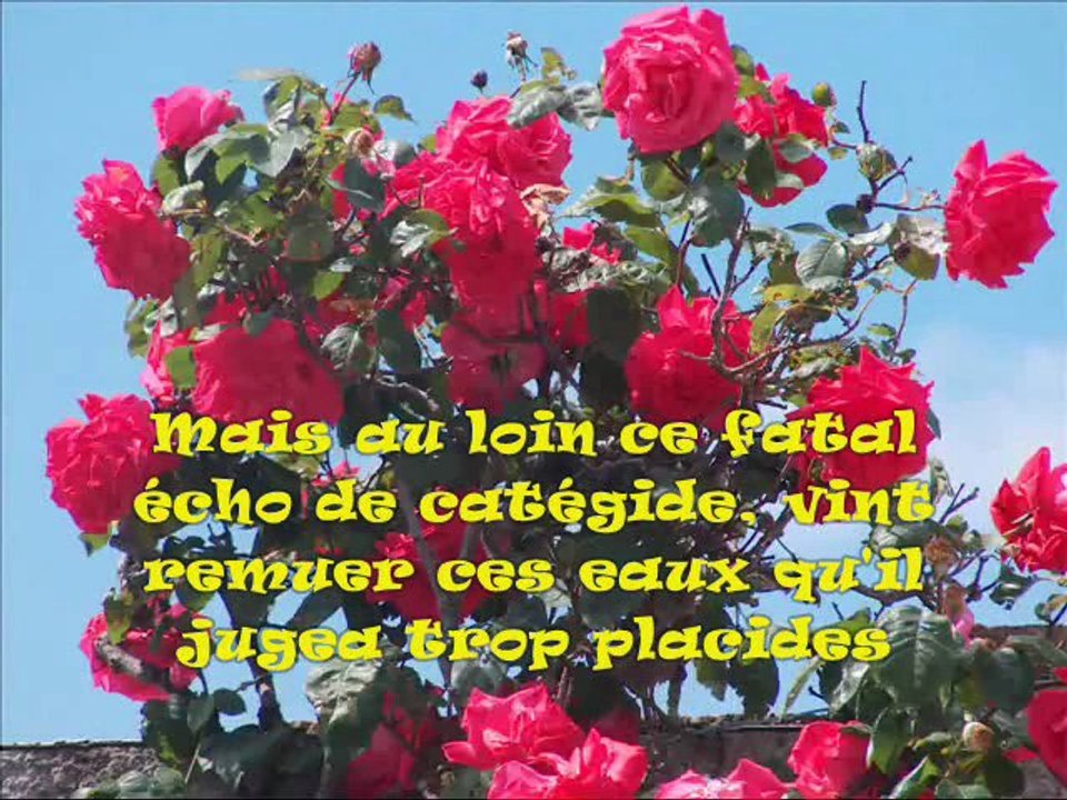 Michel Sardou titre je vais t'aimer