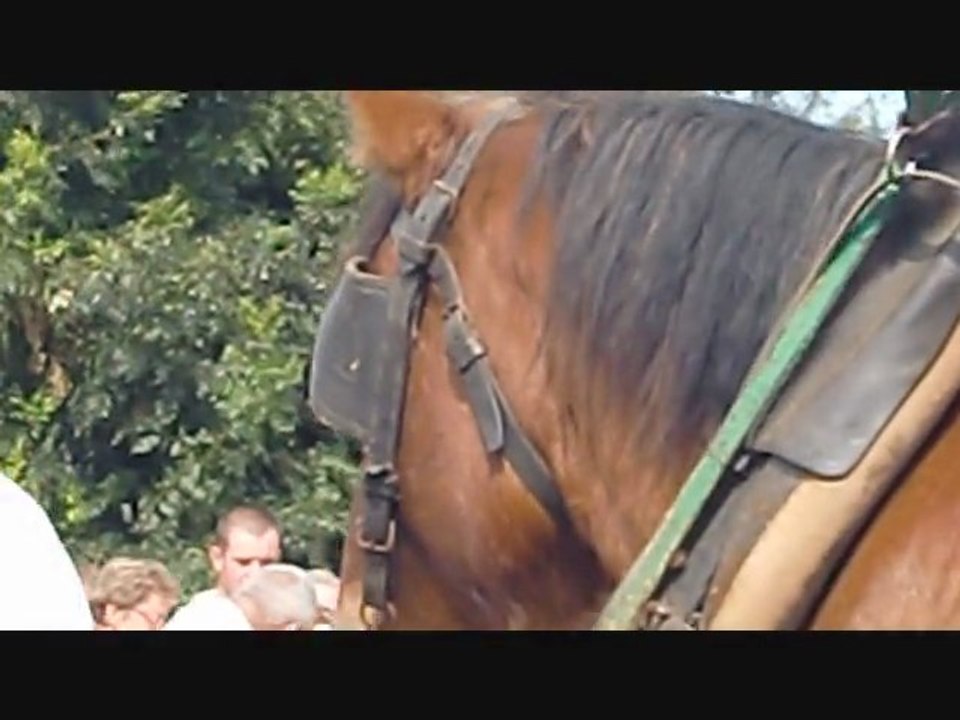 chevaux02_0001