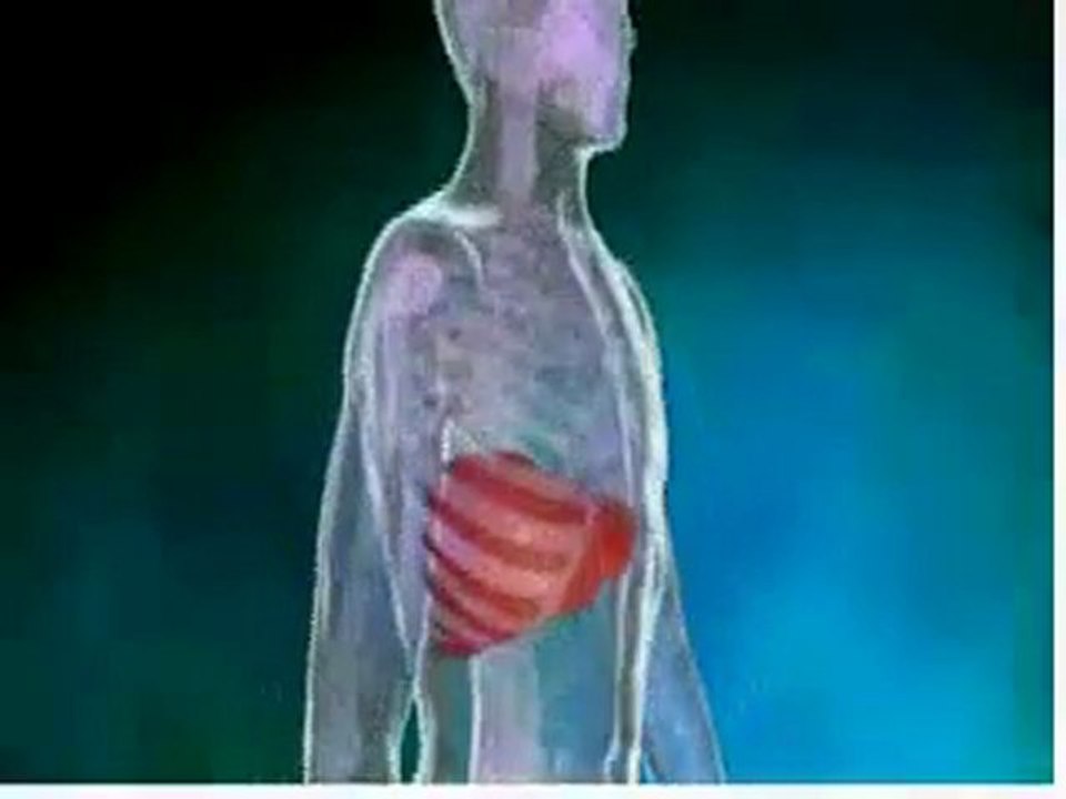 MD Videos [ Liver Cancer ]