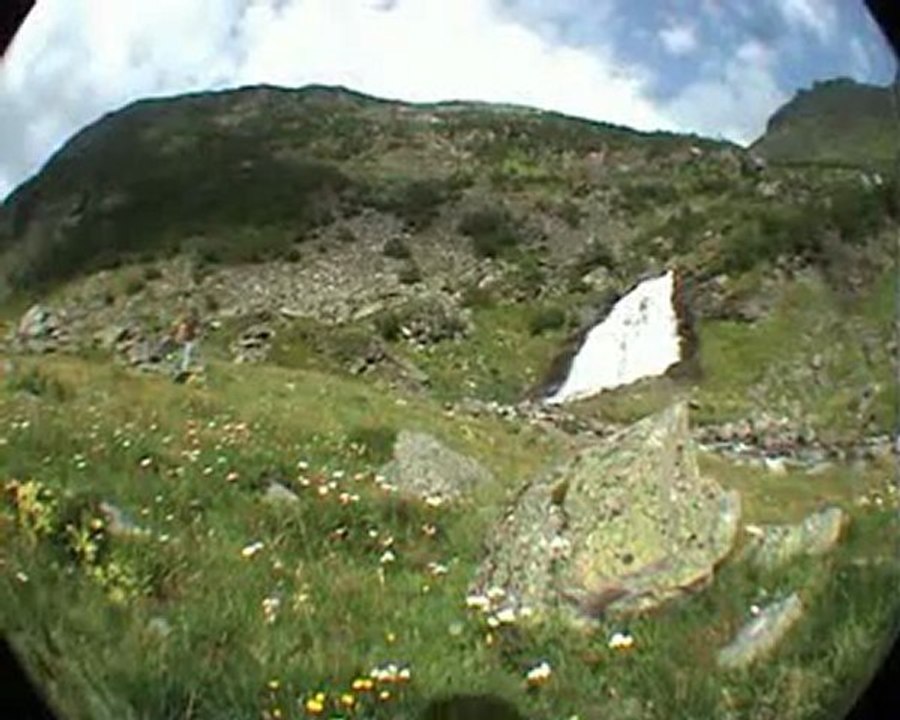 NORGE 2006