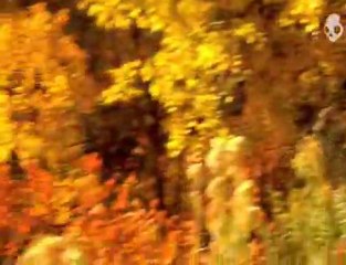 Radical Films and the Skullcandy Team