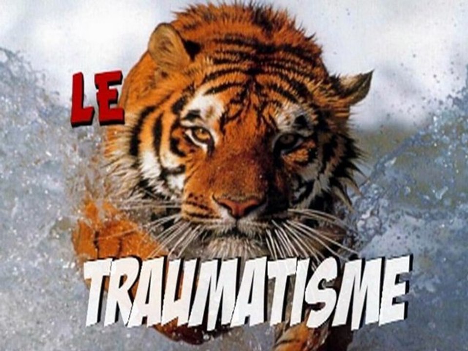 Le traumatisme