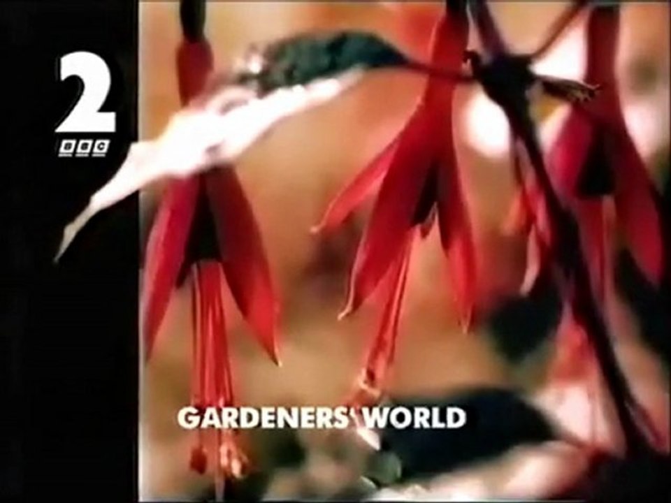 BBC1 Continuity, Friday August 29th 1997