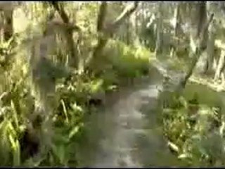 Loyce E. Harpe MTB Park