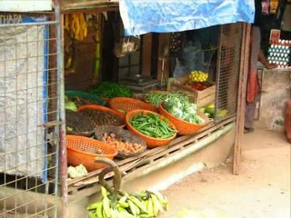 Alleppey Changanassery l ecole buissonnier 1024 768
