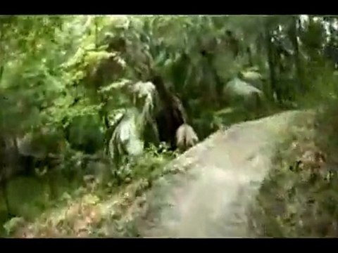 Alafia River State Park - North Creek Trail