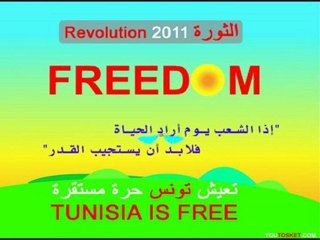 Tunisia Egypt Revolition الثورة التونسية المصرية العربية
