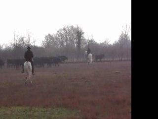 Ruy Blas et Florent Maini à camagri 2011