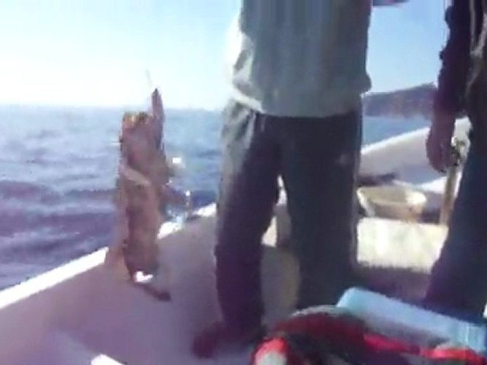 ADRASAN BALIK AVI TURUNDA RAPALA İLE LAGOS AVI - www.adrasanbalik.com