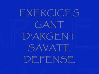 SAVATE DEFENSE 12 ET 13/02/2011