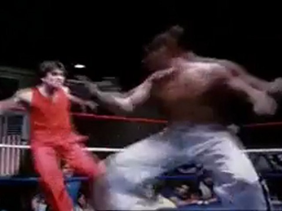 Karate Tiger Endkampf