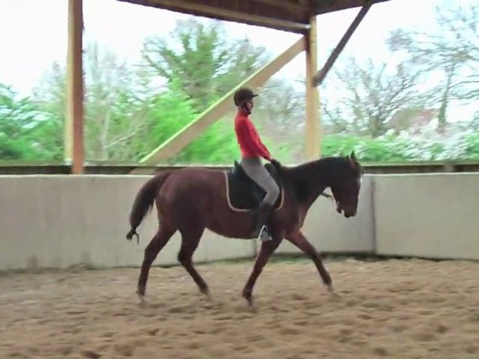 2011-02-05 Sophie&Félie