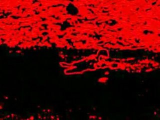 Lazy Days on the River