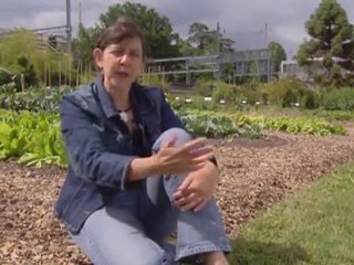 semences et graines à sauvegarder