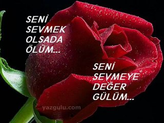 nurettin rençber yaz yağmuru