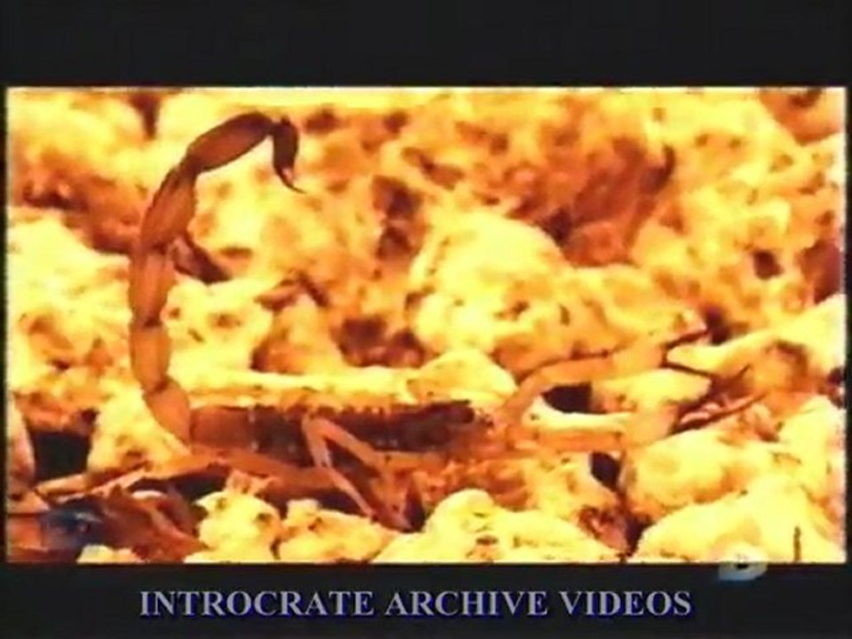 Les Super Tueurs, Brésil - 3 de 3