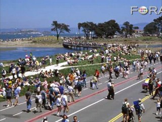Nature in the City: Open Spaces and Guerilla Urbanism