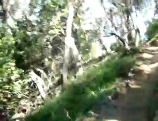 1st try at handlebar mounted vid-  t-rancho goldman