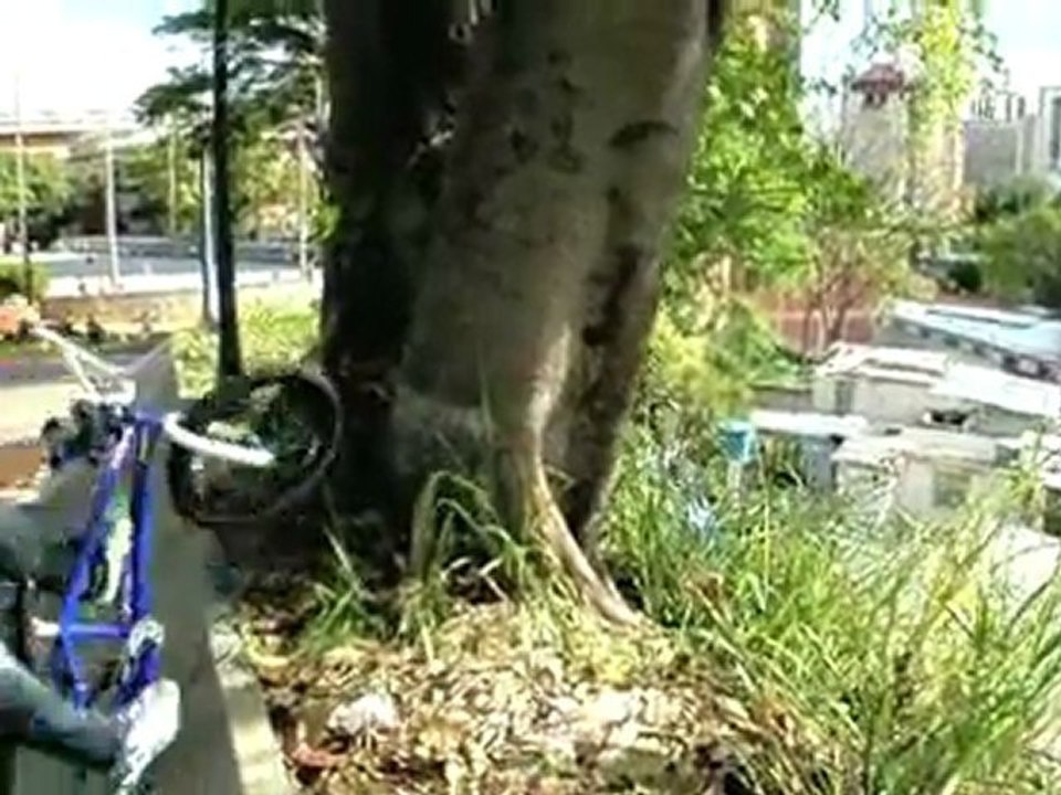 Daniel Dhers in Caracas - Part 2