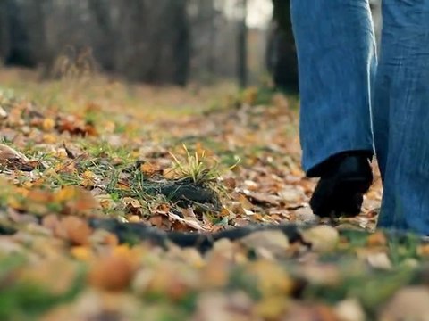 Влад Корнилов - Золотая осень