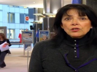 Marielle Gallo - Voeux et priorités politiques pour 2011