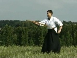 Aikido techniques de base et entrainement