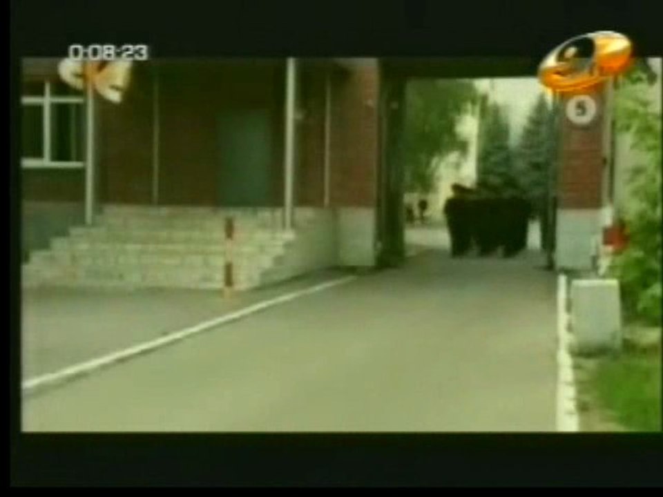 surguuli 130_chunk_3