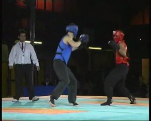 Kung fu fight sanda - La final