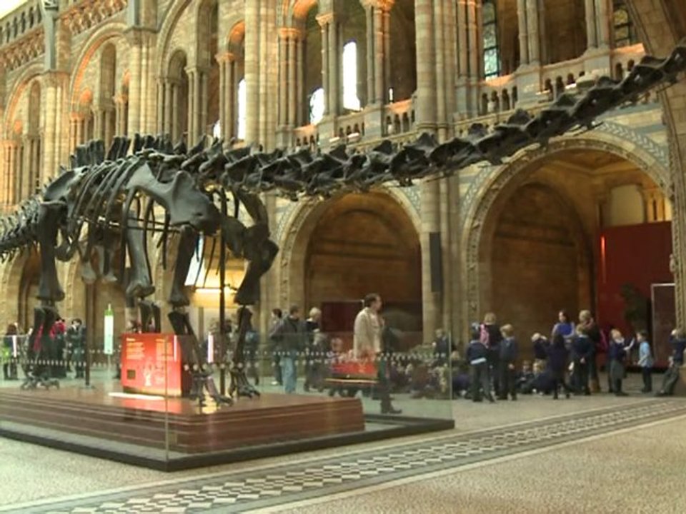 La vida sexual de los animales tiene su exposición en Londres