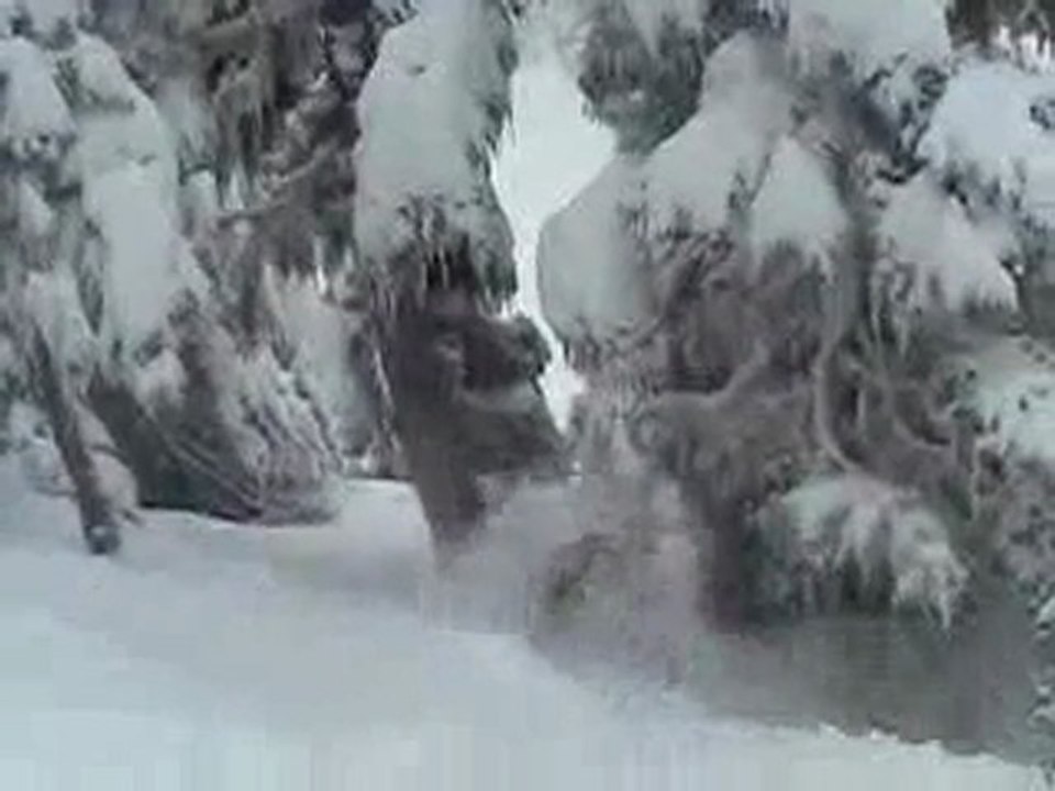 Shames Mountain '04