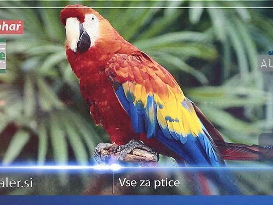 // Aler d.o.o. // Hrana za pse hrana za psa pasja hrana