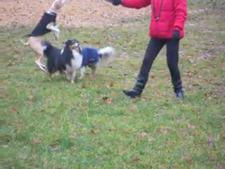 bois de vincennes 007