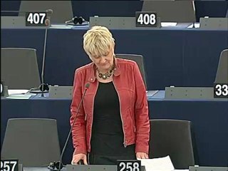 Marian Harkin on Explanations of vote