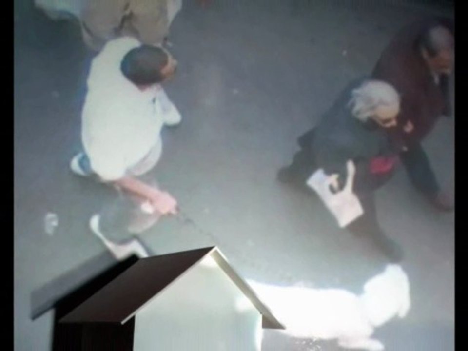 Film Up at the villa