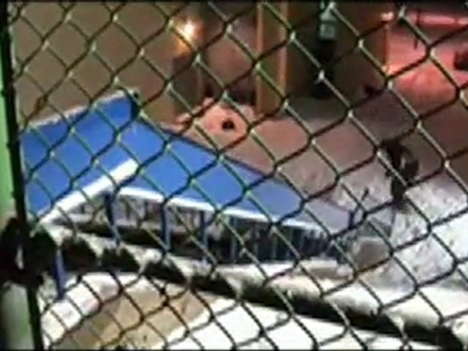 Teaser for "Long Story Short"