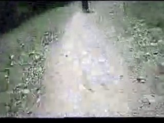 2007 Mont St Anne UCI World Cup DH Run