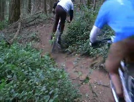 The owners of Transition Bikes go for a fall ride