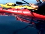kayaking croatia's dalmation coast