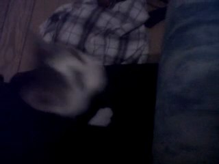 Saphire mon chat
