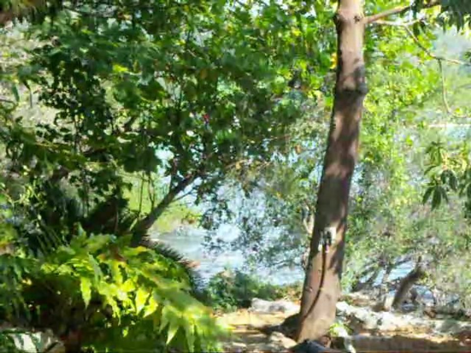 BUNGALOW #1..   2008  TH.